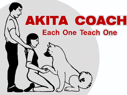 Akita Coach Graphic