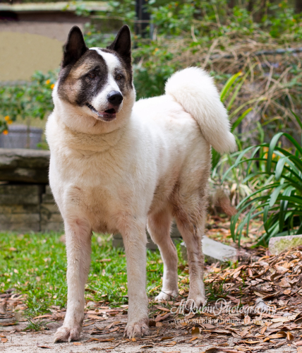 Keiko Photo